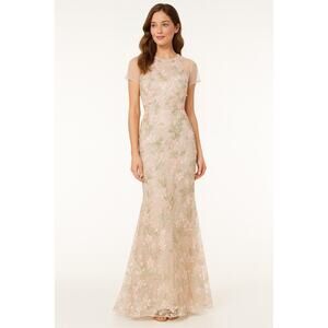 Eliza J Formal Maxi Dress Appliqué Flowers Illusion Gown 8 Romantic Pastel